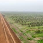 Photo 8 for Road 224 & Avenue 182, Porterville