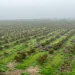 Photo 9 for Road 224 & Avenue 182, Porterville