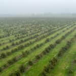 Photo 10 for Road 224 & Avenue 182, Porterville