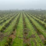 Photo 11 for Road 224 & Avenue 182, Porterville