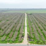 Photo 1 for Road 120, Earlimart