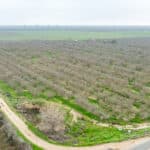 Photo 4 for Road 120, Earlimart