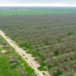 Photo 10 for Road 120, Earlimart