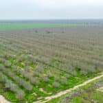 Photo 11 for Road 120, Earlimart