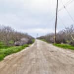 Photo 12 for Road 120, Earlimart