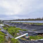 Photo 5 for 1941 N Dietz Rd, Earlimart