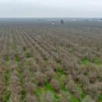 Photo 11 for 1941 N Dietz Rd, Earlimart