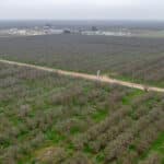 Photo 15 for 1941 N Dietz Rd, Earlimart