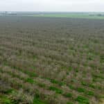 Photo 18 for 1941 N Dietz Rd, Earlimart