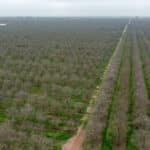 Photo 19 for 1941 N Dietz Rd, Earlimart