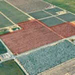 Photo 12 for #2 Sierra Ave & N. Kramer St, Earlimart