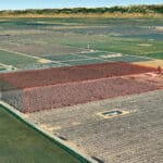 Photo 5 for #1 Sierra Ave & N. Kramer St, Earlimart