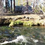 Photo 2 for Cabin on Hat Creek