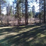 Photo 46 for Cabin on Hat Creek