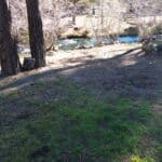 Photo 18 for Cabin on Hat Creek