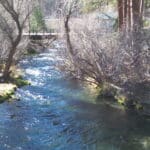 Photo 8 for Cabin on Hat Creek