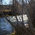 Photo 41 for Cabin on Hat Creek