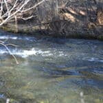 Photo 42 for Cabin on Hat Creek