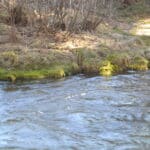 Photo 21 for Cabin on Hat Creek