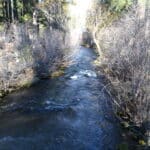 Photo 43 for Cabin on Hat Creek