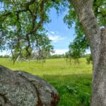 Photo 53 for Rolling Oaks Ranch