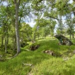 Photo 70 for Rolling Oaks Ranch