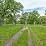 Photo 75 for Rolling Oaks Ranch