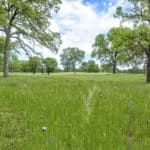 Photo 76 for Rolling Oaks Ranch