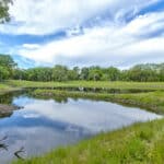 Photo 79 for Rolling Oaks Ranch