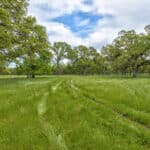 Photo 81 for Rolling Oaks Ranch