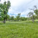 Photo 84 for Rolling Oaks Ranch