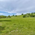 Photo 86 for Rolling Oaks Ranch