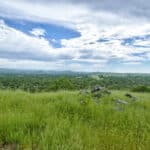 Photo 90 for Rolling Oaks Ranch