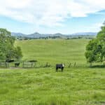 Photo 91 for Rolling Oaks Ranch