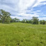 Photo 94 for Rolling Oaks Ranch