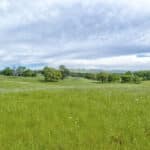 Photo 95 for Rolling Oaks Ranch