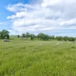 Photo 98 for Rolling Oaks Ranch