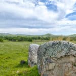 Photo 99 for Rolling Oaks Ranch