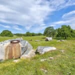 Photo 101 for Rolling Oaks Ranch