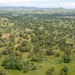 Photo 131 for Rolling Oaks Ranch