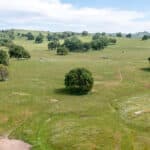 Photo 138 for Rolling Oaks Ranch