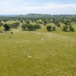 Photo 141 for Rolling Oaks Ranch