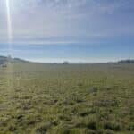 Photo 8 for Heiskell Road Project