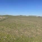 Photo 4 for Raymond Ranchland