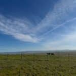 Photo 14 for Heiskell Road Project