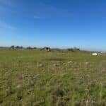 Photo 13 for Heiskell Road Project