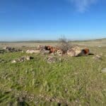 Photo 5 for Heiskell Road Project