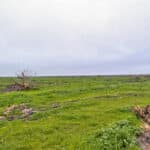 Photo 5 for Ave 32 & Road 192, Delano