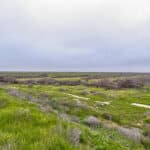 Photo 15 for Ave 32 & Road 192, Delano