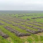 Photo 18 for Ave 32 & Road 192, Delano